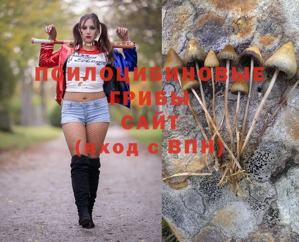 гидра Нефтегорск