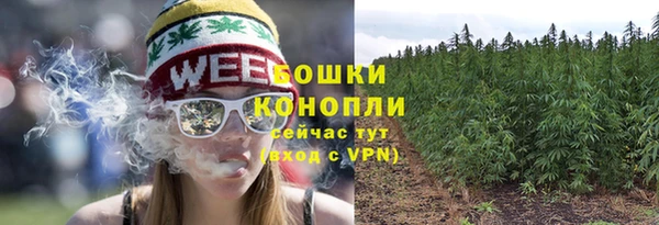 гидра Нефтегорск