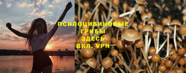 альфа пвп Нефтекумск